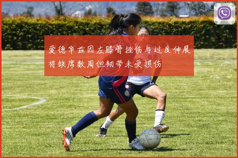 爱德华兹因左膝骨挫伤与过度伸展将缺席数周但韧带未受损伤