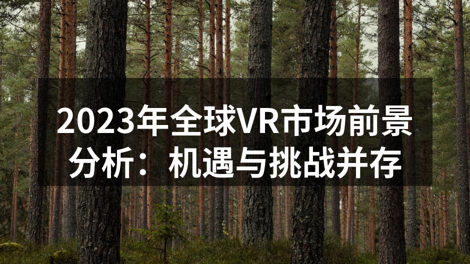 2023年全球VR市场前景分析:机遇与挑